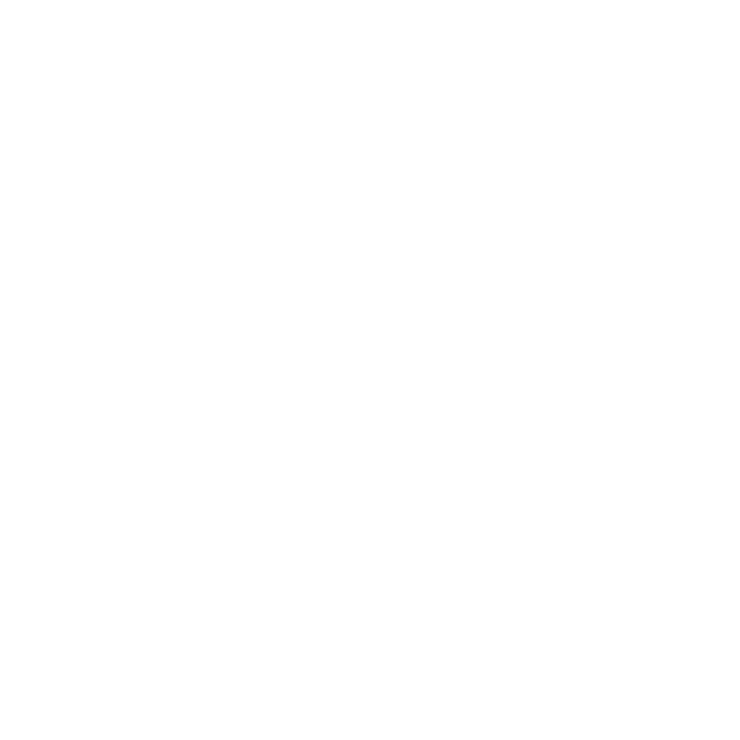 Logo Learn Chile