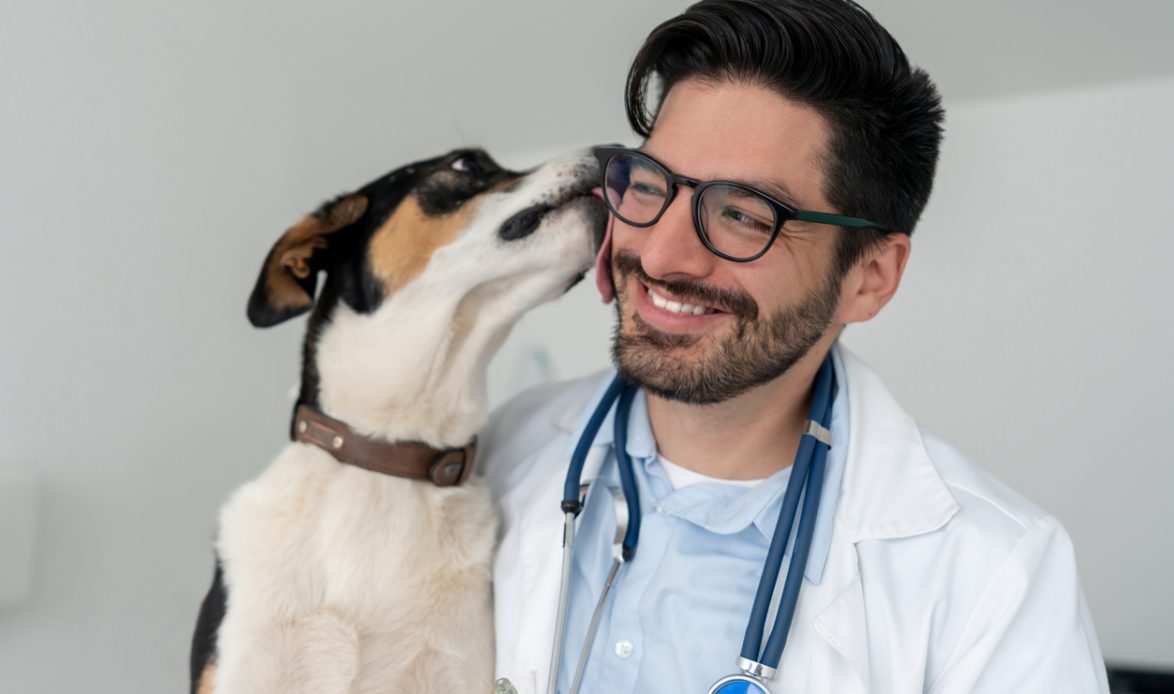 Averigua si estás listo para estudiar veterinaria - Learn Chile